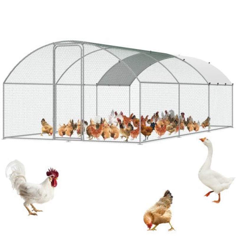 Buy Large Metal Chicken Coop with Run, 9.8x19.3x6.5 ft Walkin Chicken