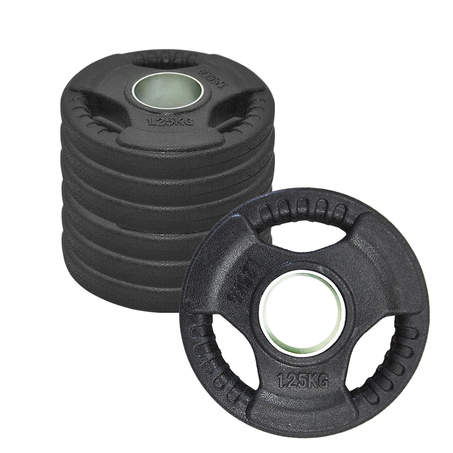 1.25kg x 8 Rubber Coated Cast Iron Olympic Weight Plate - Commercial Grade