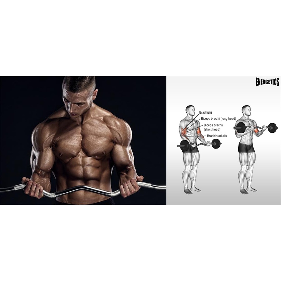 Total 15kg - 120cm Curl Barbell Bar Weight Set + 5kg x 2 Weight Plate