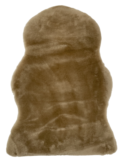 Image 13