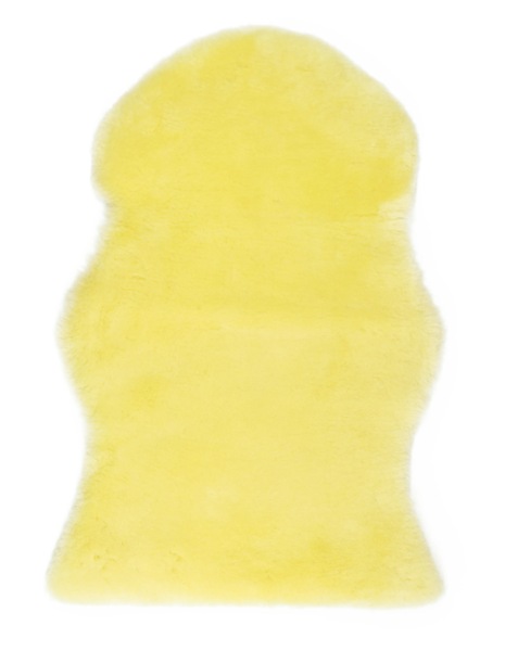Image 16