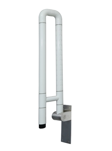 Image 4