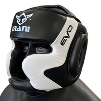 Leather Full Face Pre-moulded Head Guard