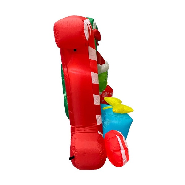Image 4