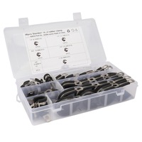 1 Set 46 In 1 Car Rubber Cushion Pipe Clamps Stainless Steel Clips