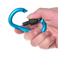 10 Pcs Aluminum Alloy Carabiner D-Ring Key Chain Shopping Cart Hook Outdoor