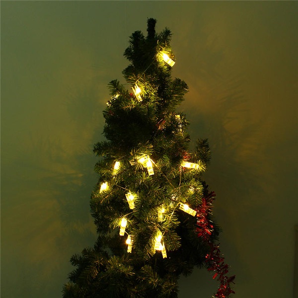 Image 7