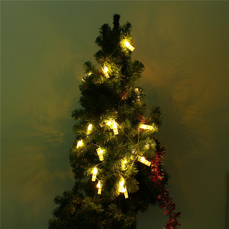 Image 7