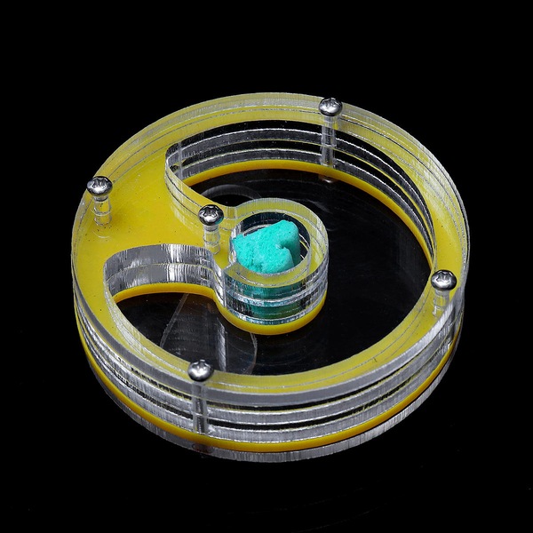 Image 8