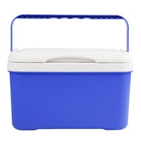 Car Portable Mini Cooler 6L EPS Refrigerator