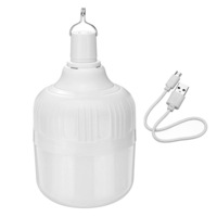 Charging Led Light Bulb With Usb Cable For Outdoor Camping Use