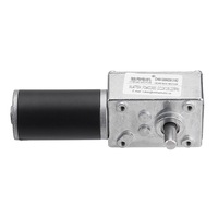 CHW-4058-3162 Double Shaft Metal Gear Motor DC 12/24V 110/220RPM Worm Gear Reducer Motor