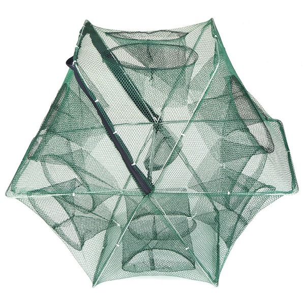 Image 4
