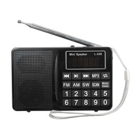 L-258 Universal Outdoor Mp3 Player Fm Am Sw Tf Card U Flash Disk 3.5Mm Aux Speaker