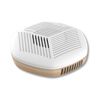 Deodorizing Disinfecting Machine Remove Formaldehyde Odor Sterilization Air Purifier