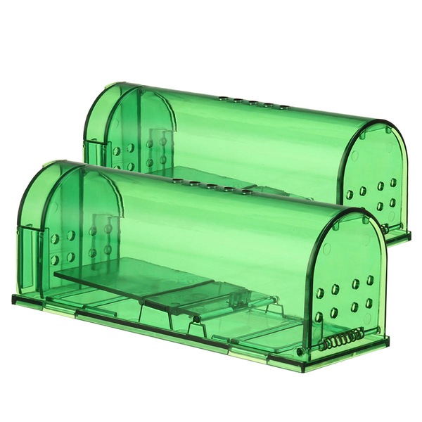 Image 8