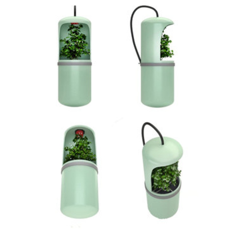 Buy Reptile Automatic Drinking Waterer Dripper Chameleon Lizard