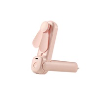 20Ml Multifunctional Handheld Folding Water Replenishment Meter With Small Fan Can Stand-Pink