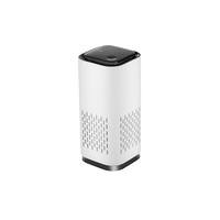 Car Air Purifier Negative Ion Sterilization And Disinfection Small Household-White