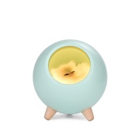 Usb Charging Atmosphere Lamp Pet House Mini Night Light For Children