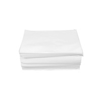 Disposable Beauty Bed Sheet SPA Salon Table Cover - 100pcs