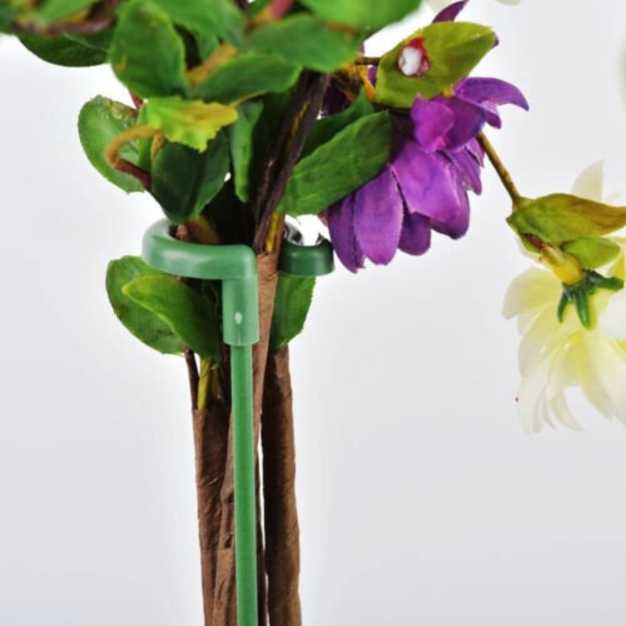 Image 14