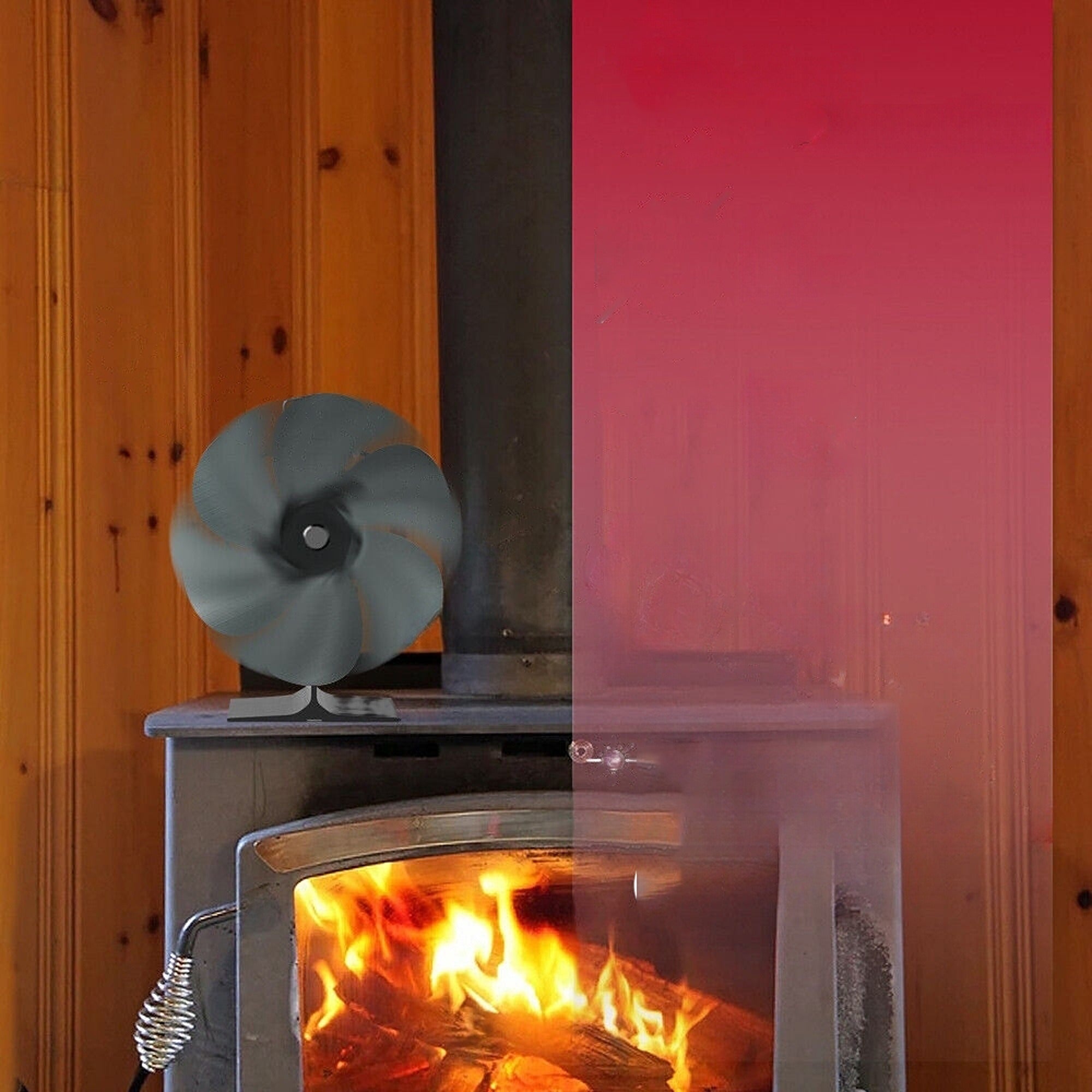 Image 11