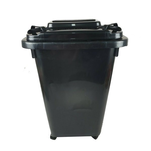 Image 4