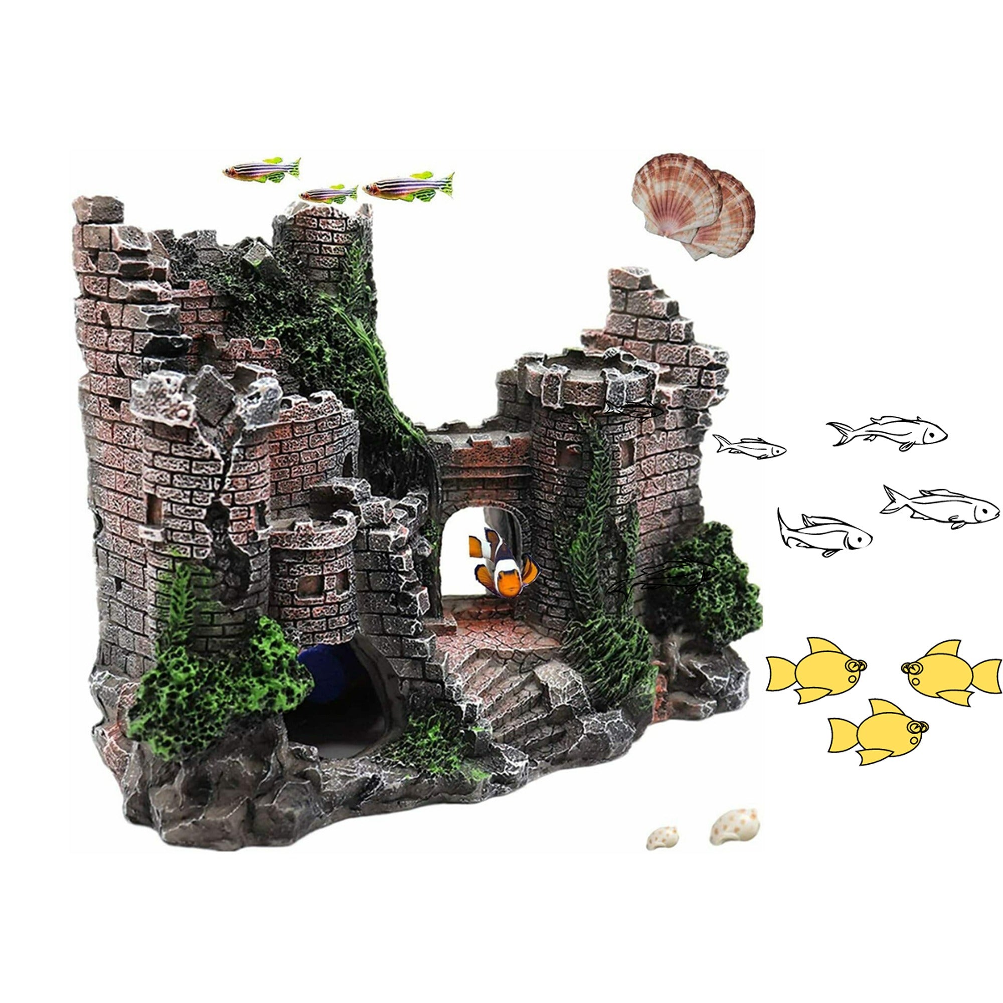 Image 2