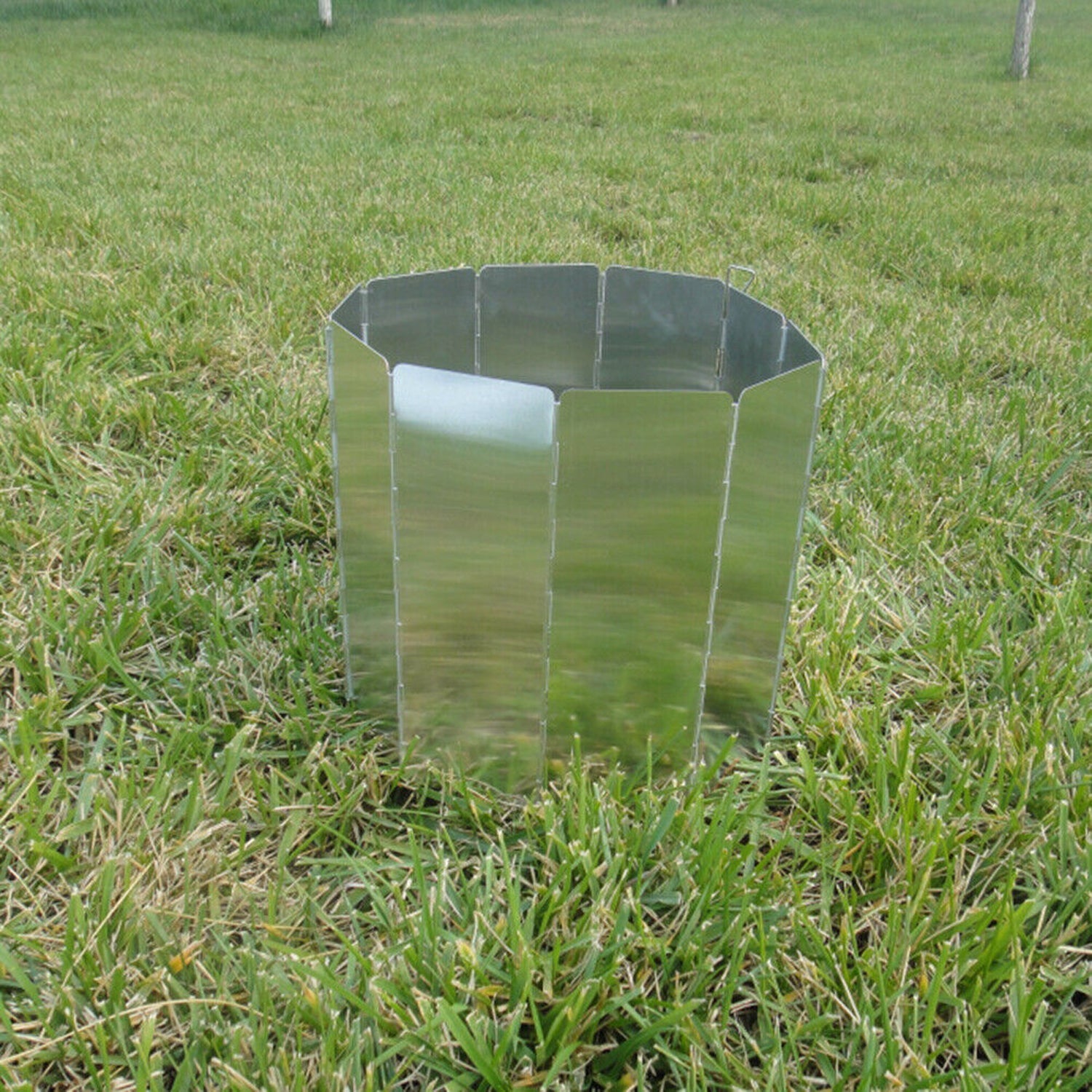 Image 8