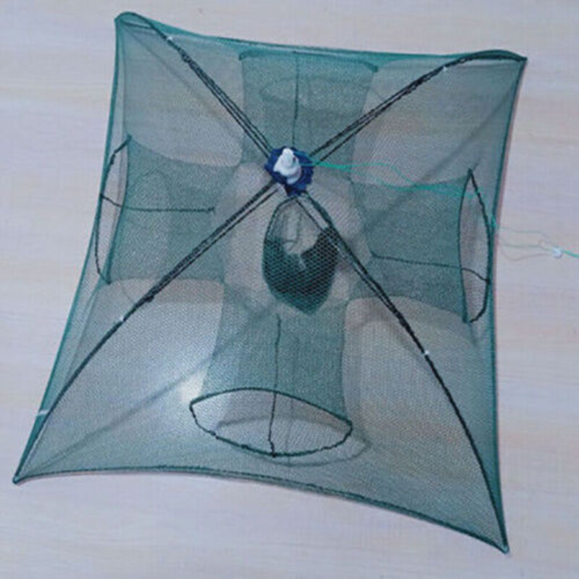 Image 6