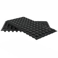 Nursery Seedling Starter Tray Grow Box Propagation - 12x