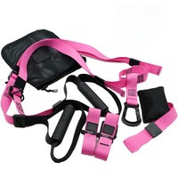 Pink Hanging Home Gym Suspension Belt Trainer Kit