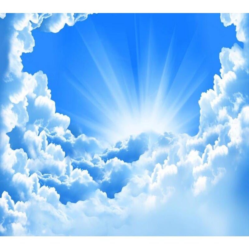 Buy Sky Sun Clouds Wallpaper #12951900 - MyDeal