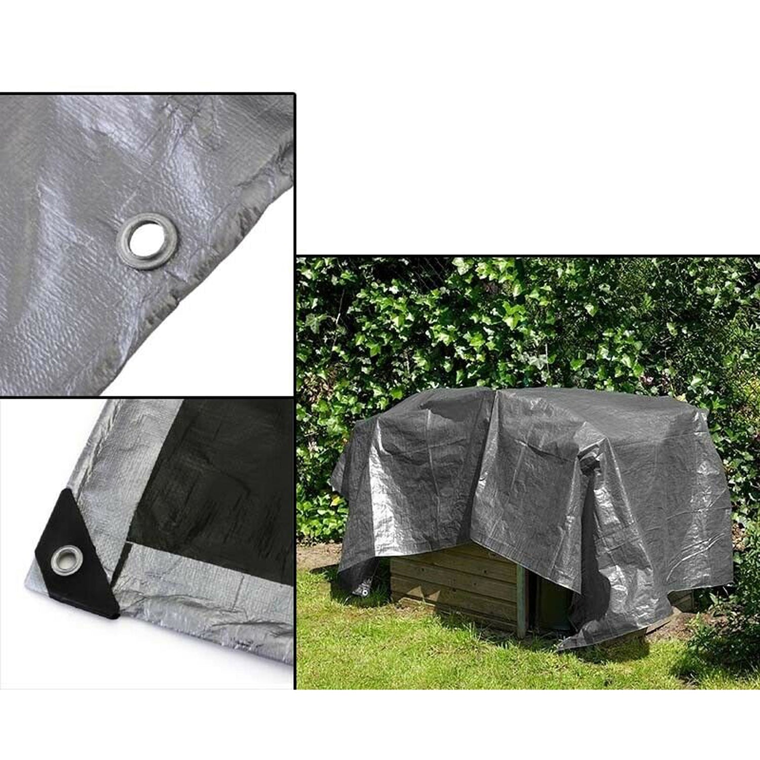 Image 7