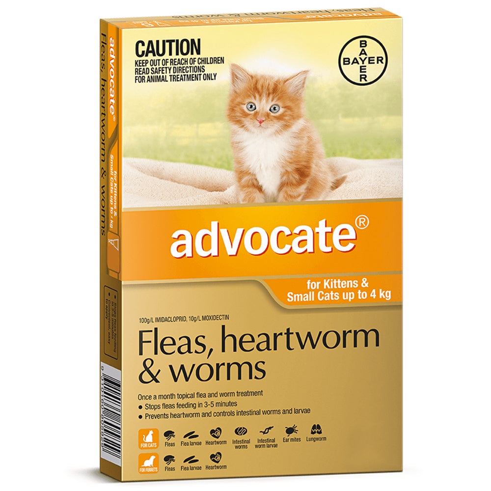 Advocate Cat & Kitten 0-4kg Orange Spot On Flea Wormer Treatment - 3 Sizes