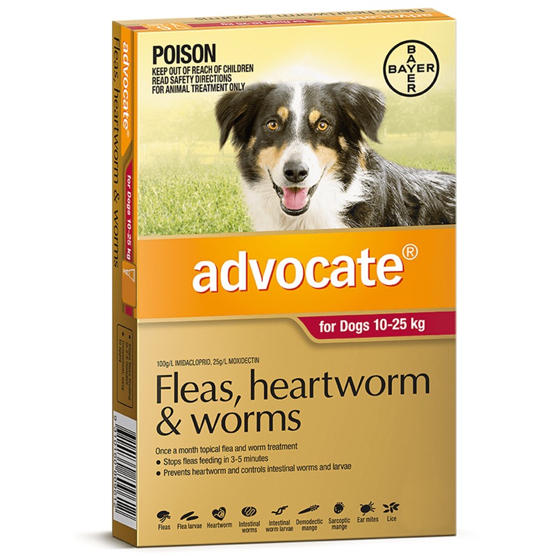 Buy Advocate Large Dog 1025kg Red Spot On Flea Wormer Treatment 3
