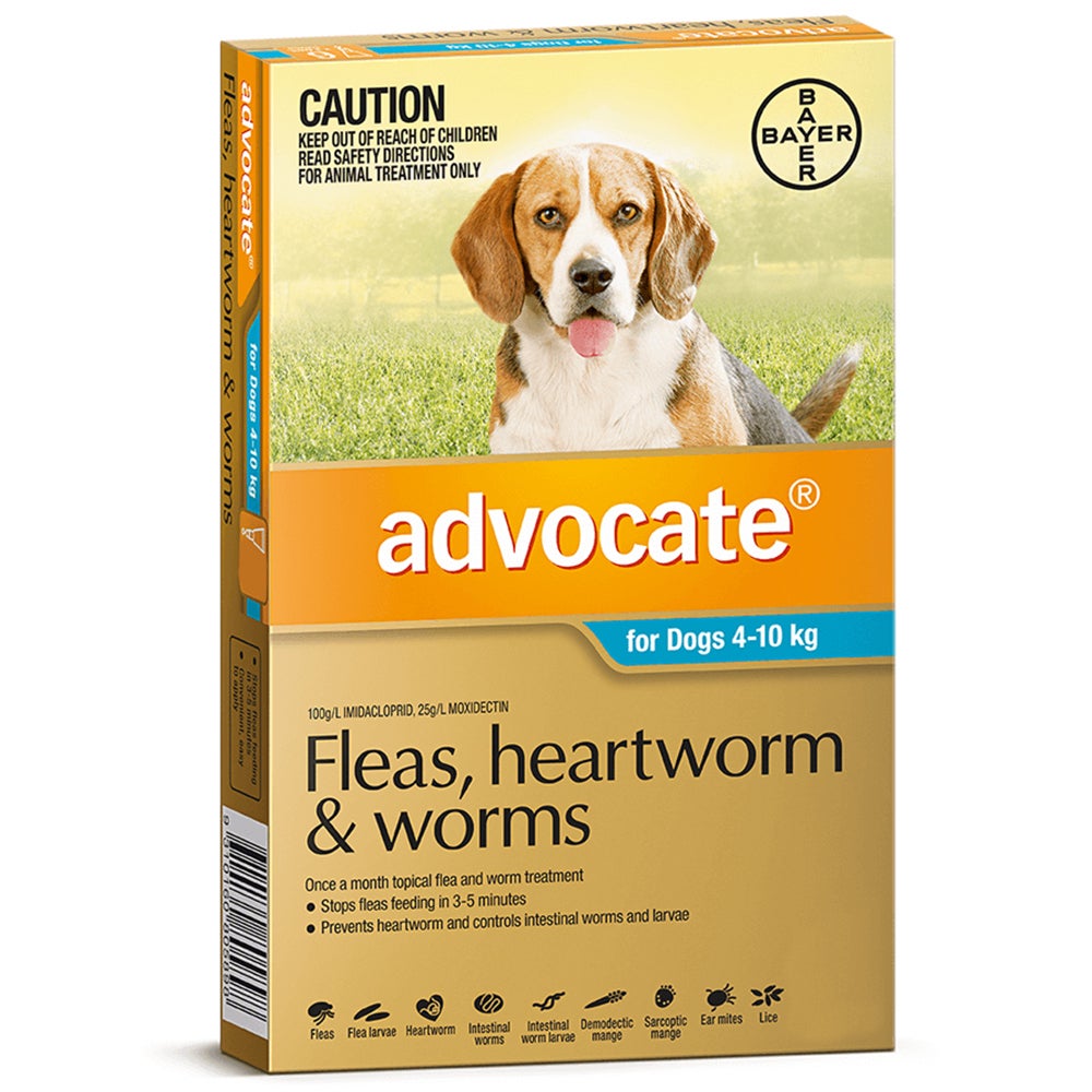Advocate Medium Dog 4-10kg Teal Spot On Flea Wormer Treatment - 3 Sizes