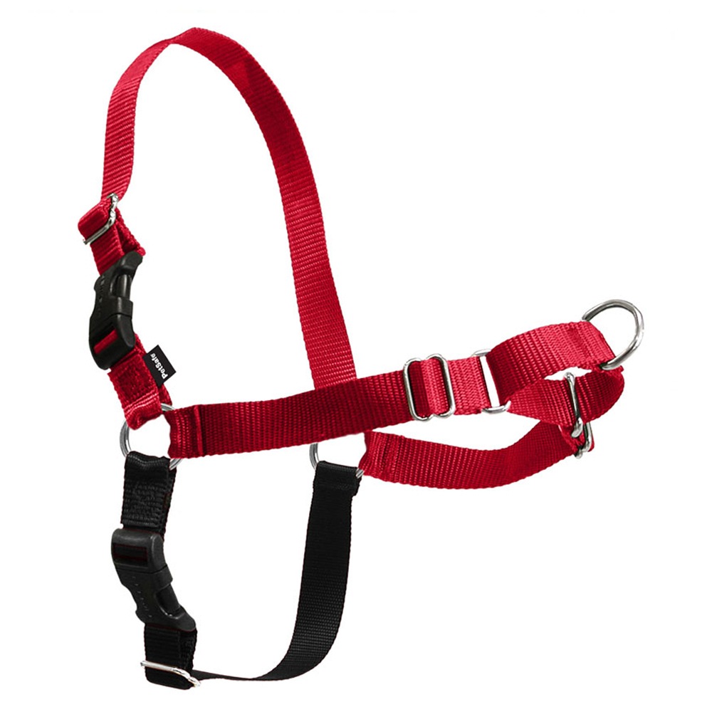 Gentle leader harness outlet sizing