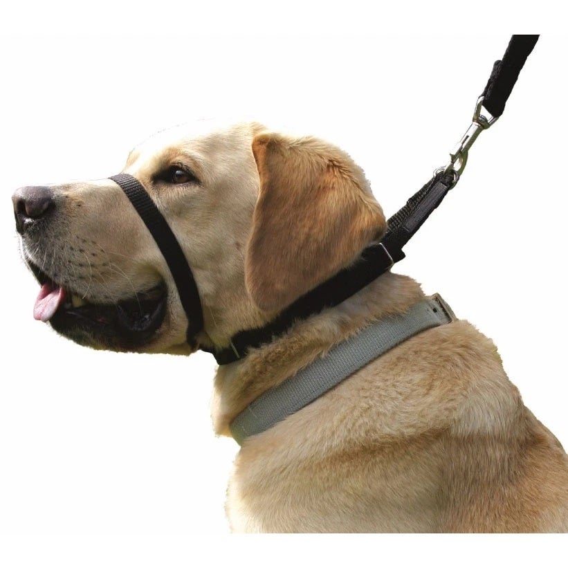 Canny Collar Stop Lead Pulling for Walking Training - 8 Sizes