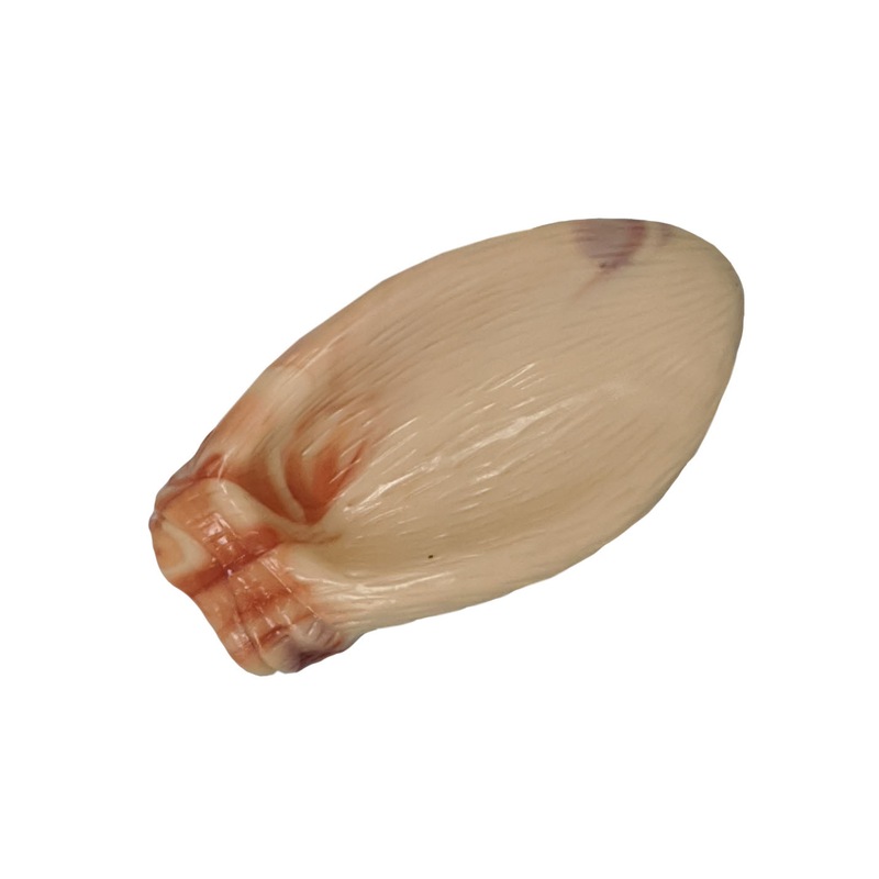 Buy Ee Toys Pigs Ear Non Toxic Dental Chew Dog Toy 2 Sizes MyDeal