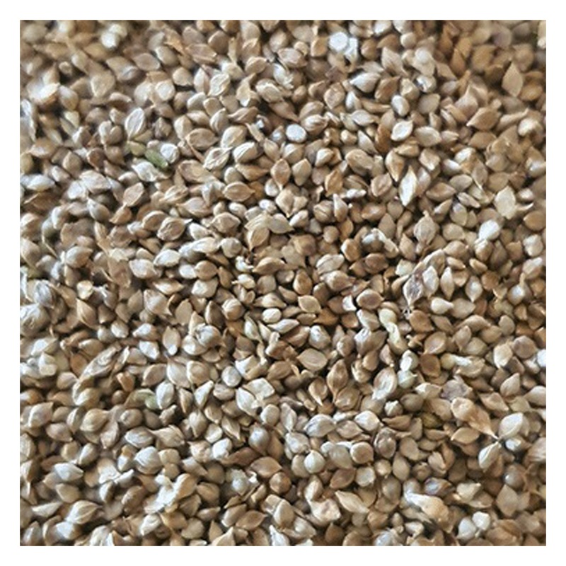 Buy Green Valley Japanese Millet for Farm Animals 20kg MyDeal