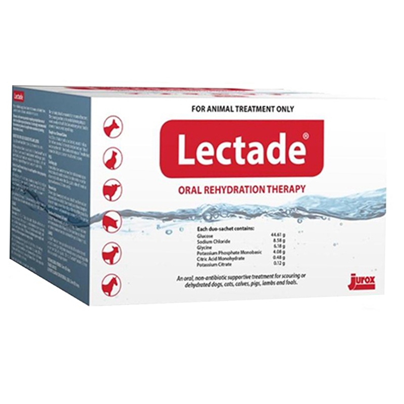 Buy Lectade Liquid Concentrate Oral Rehydration Therapy Sachets 12 Pack