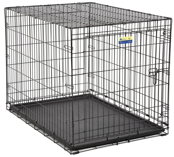 Image 4