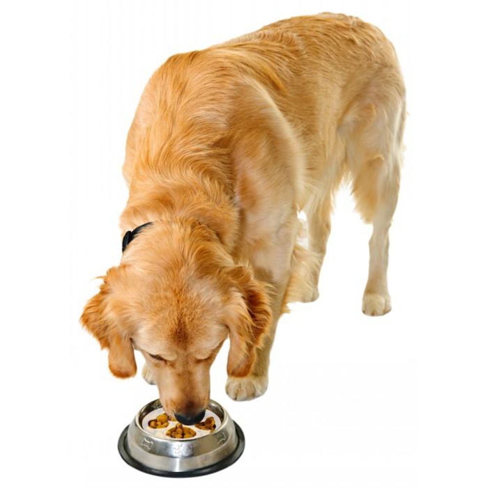 gobble stopper slow feeder