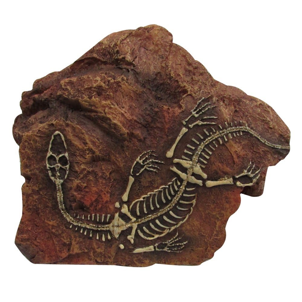 Urs Fossil Hide Reptile Enclosure Accessory Medium