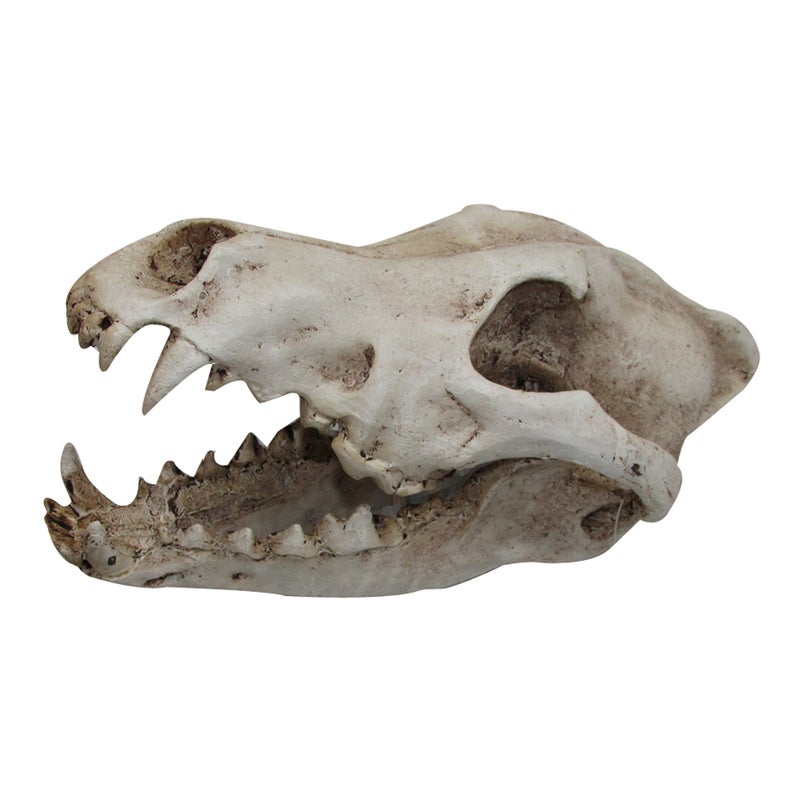 Buy Urs Ornament Wolf Skull Reptile Enclosure Accessory - MyDeal
