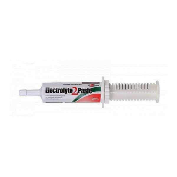 Value Plus Electrolyte Replacement 2 Paste Equine Horse 60ml 