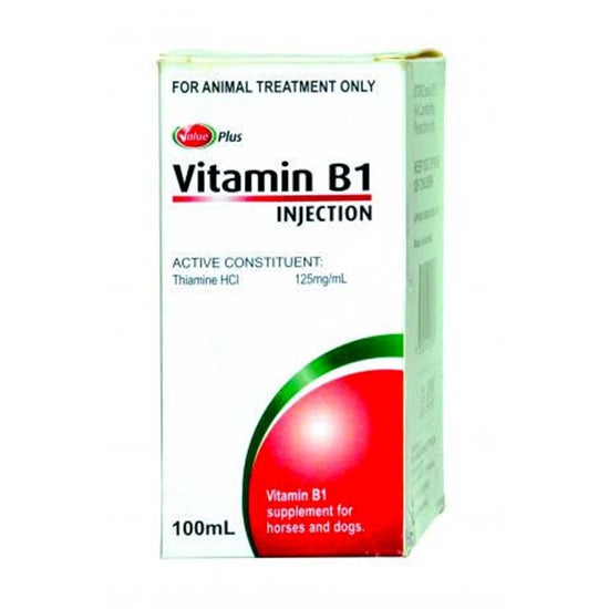 Value Plus Vitamin B1 Horse Dog Supplement 100ml 