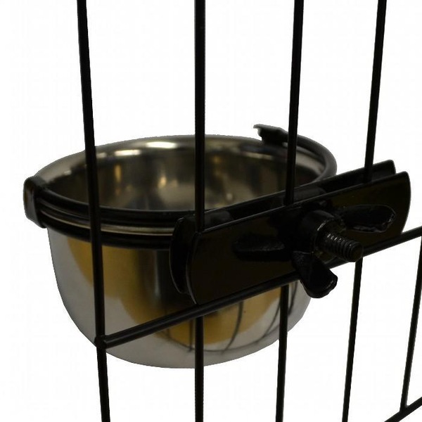 Image 11